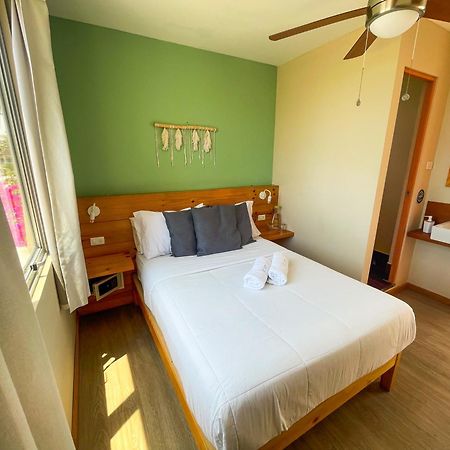 Viajero Paracas Hostel المظهر الخارجي الصورة