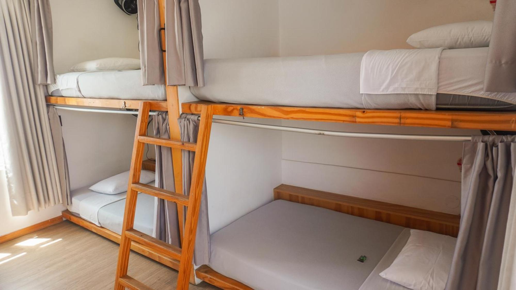 Viajero Paracas Hostel المظهر الخارجي الصورة