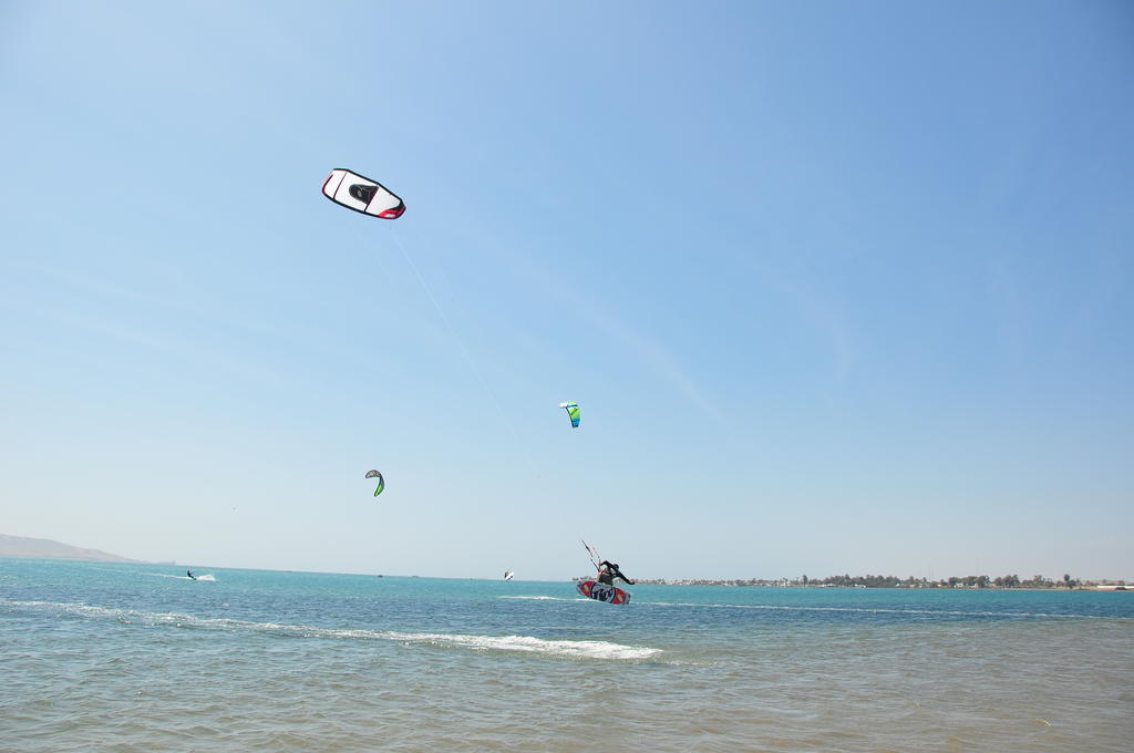 Viajero Paracas Hostel المظهر الخارجي الصورة