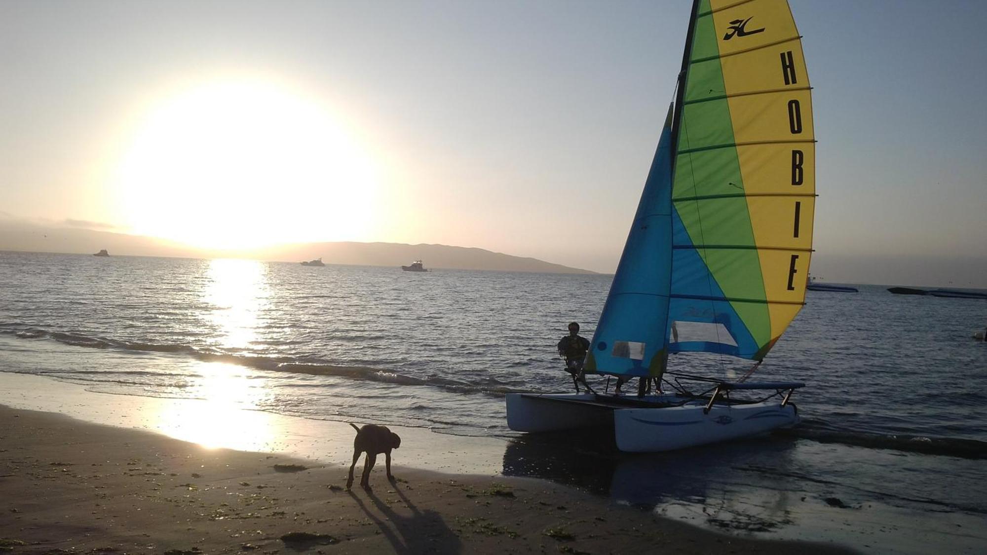 Viajero Paracas Hostel المظهر الخارجي الصورة